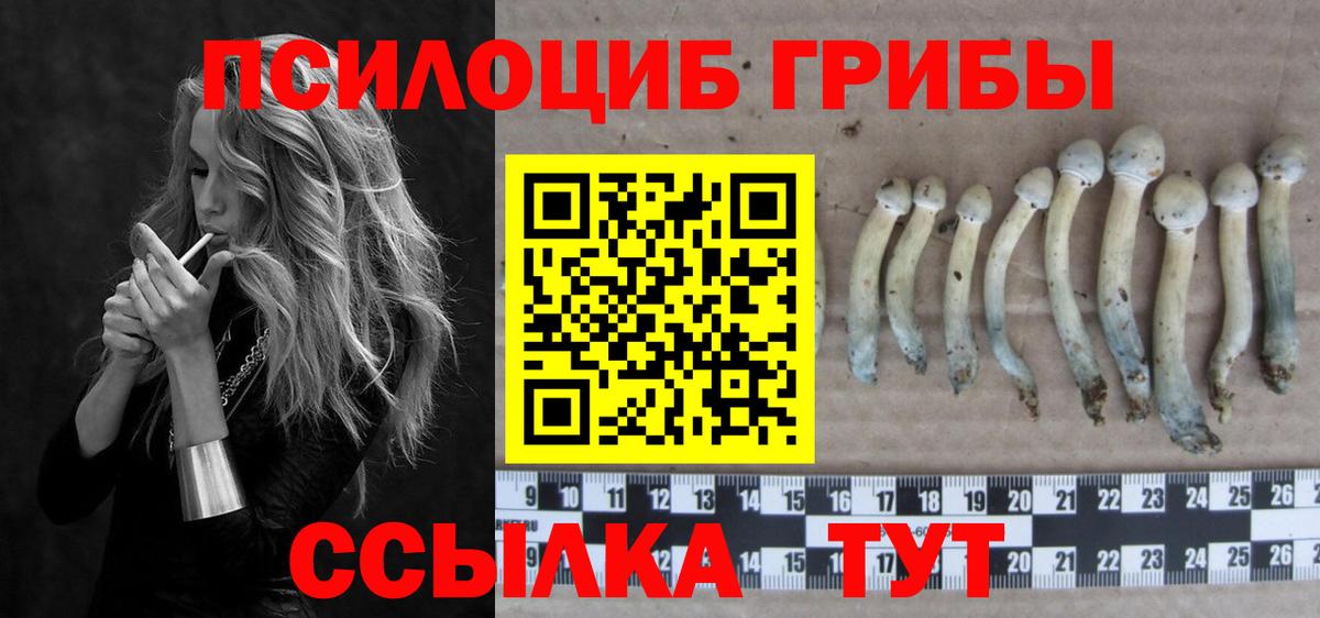 Галлюциногенные грибы ЛСД Каспийск