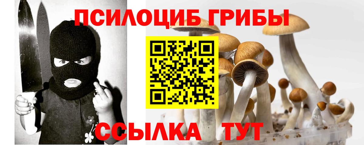 Галлюциногенные грибы мицелий  Псилоцибиновые грибы Psilocybine cubensis  Вход с VPN  Каспийск 
